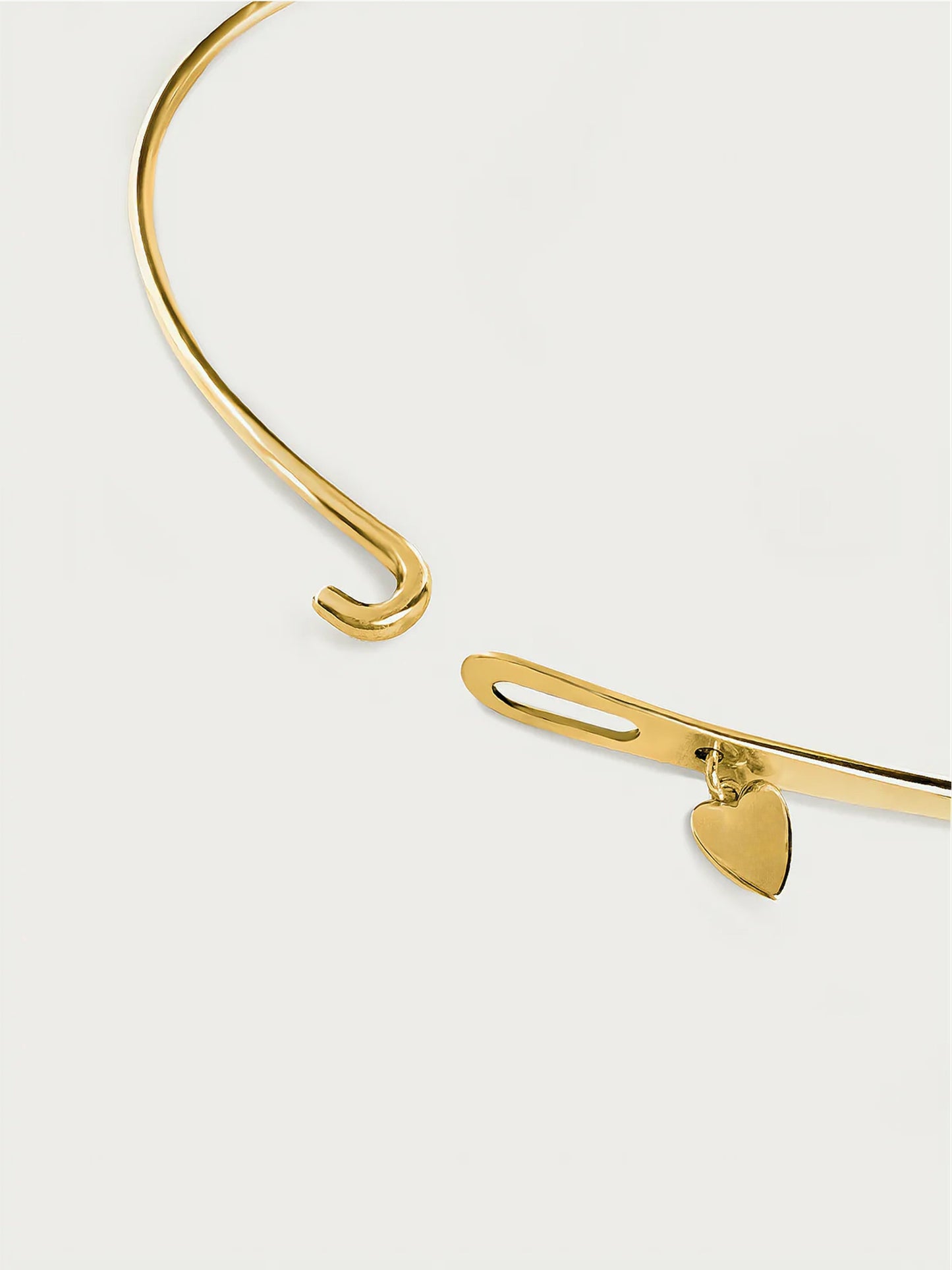 Hidden Treasure Choker